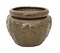 Leaf Self Watering Glazed Ceramic Pot - Mustard - 6.25 x 4.75"